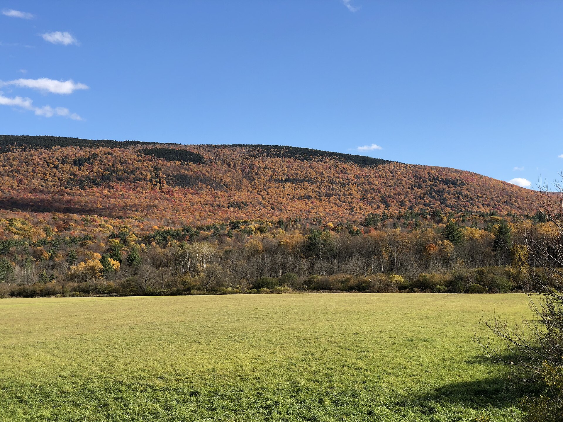 2020-10-17 15 12 47 View south towards the Green Mountain National Forest during autumn from Virginia State Route 7A in Sunderland, Bennington County, Vermont