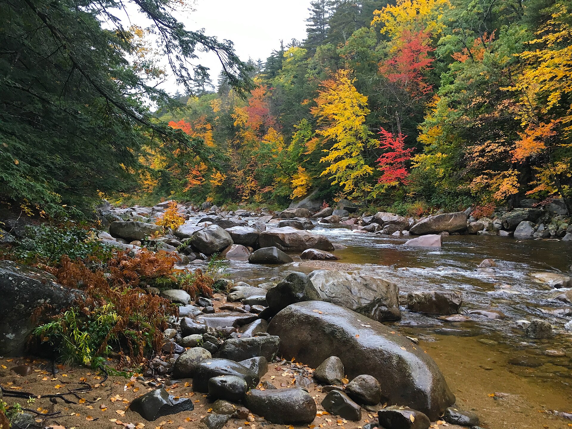 Green-Mountain-Stream-RVBlogger